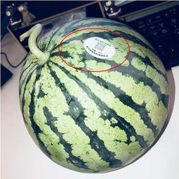 即墨网红吃瓜,揭秘网络红人的幕后故事